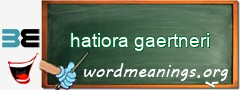 WordMeaning blackboard for hatiora gaertneri